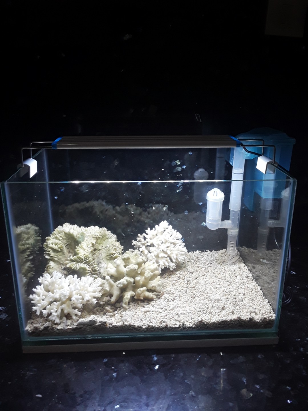 Detail Aquascape Batu Karang Laut Nomer 24