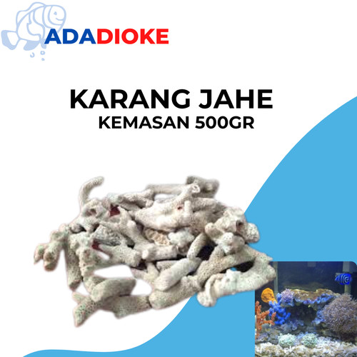 Detail Aquascape Batu Karang Laut Nomer 50