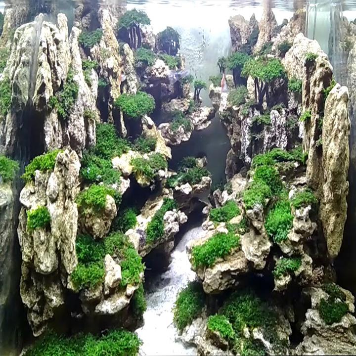 Detail Aquascape Batu Tebing Nomer 20