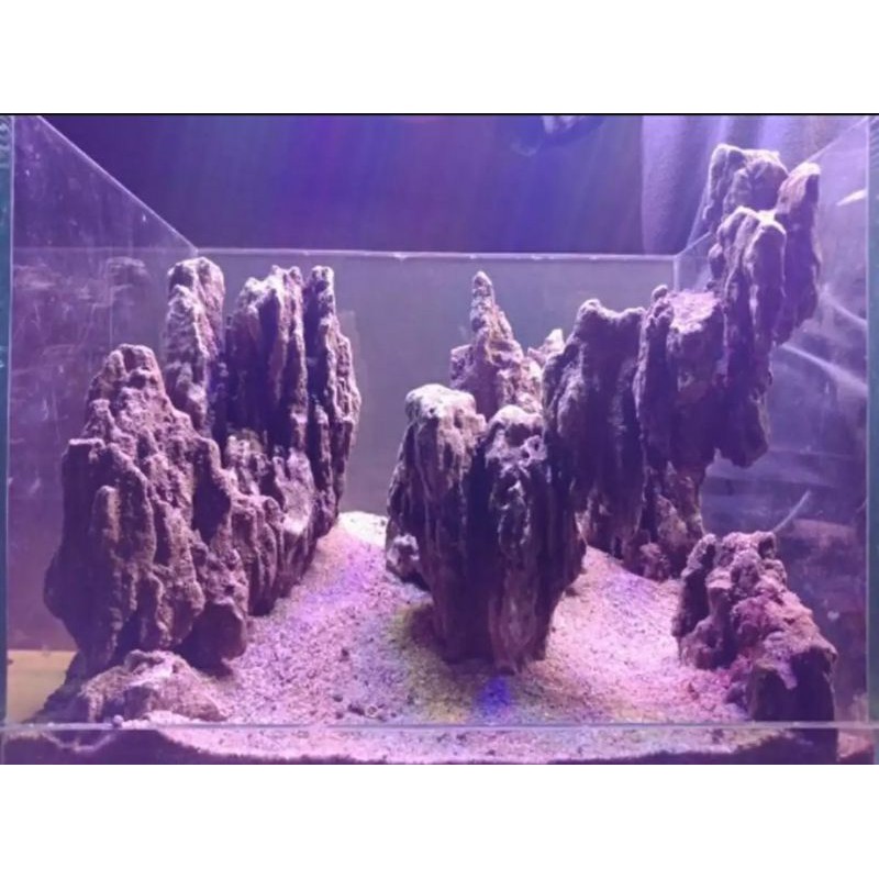 Detail Aquascape Batu Tebing Nomer 24