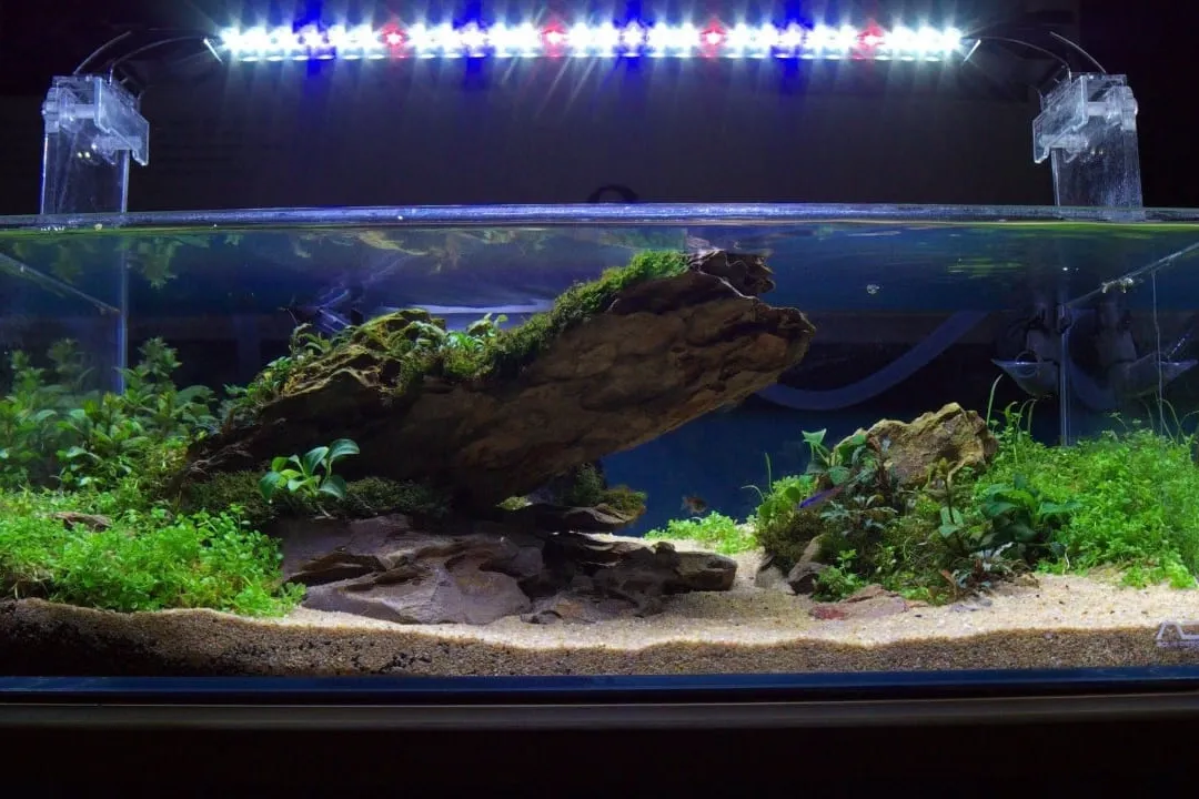 Detail Aquascape Cantik Nomer 27