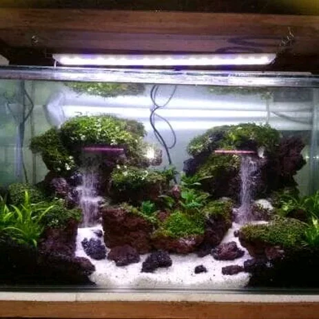 Detail Aquascape Cantik Nomer 31