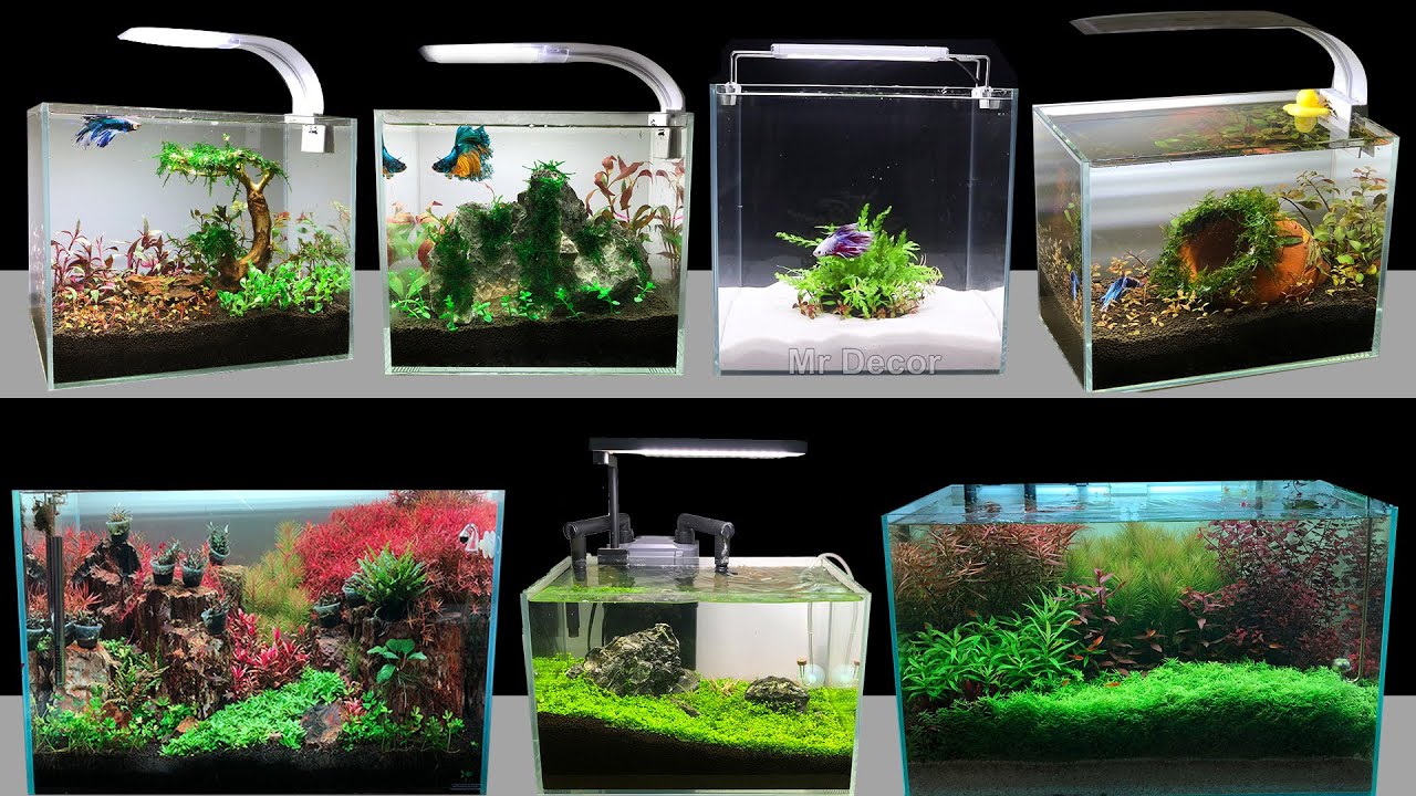 Detail Aquascape Cantik Nomer 47