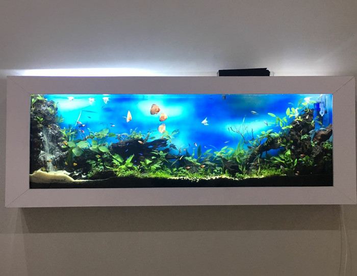 Aquascape Dinding - KibrisPDR