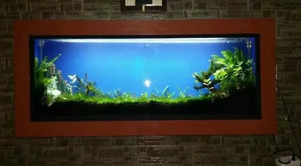 Detail Aquascape Dinding Nomer 21