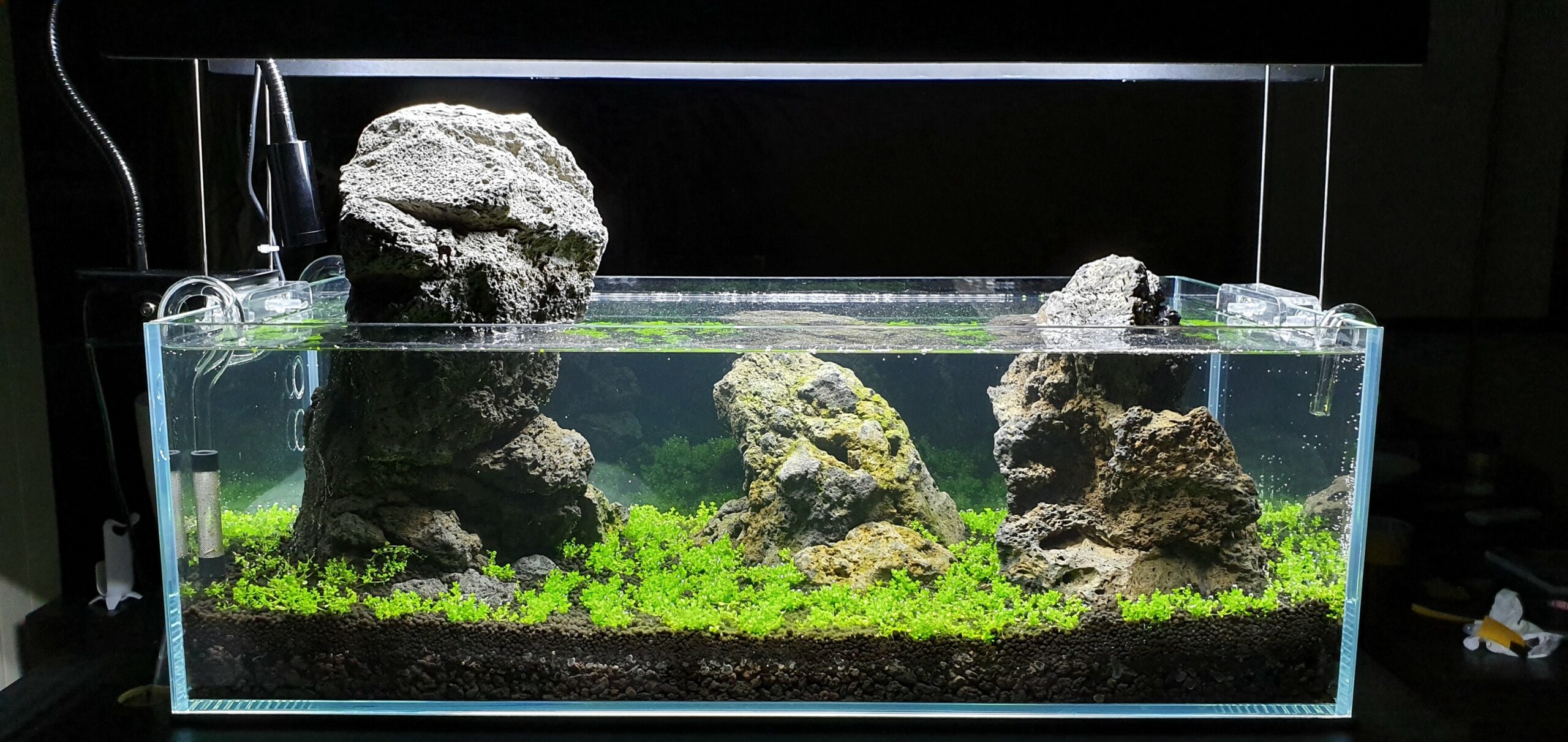 Detail Aquascape Gunung Nomer 44