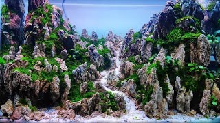 Detail Aquascape Gunung Nomer 8