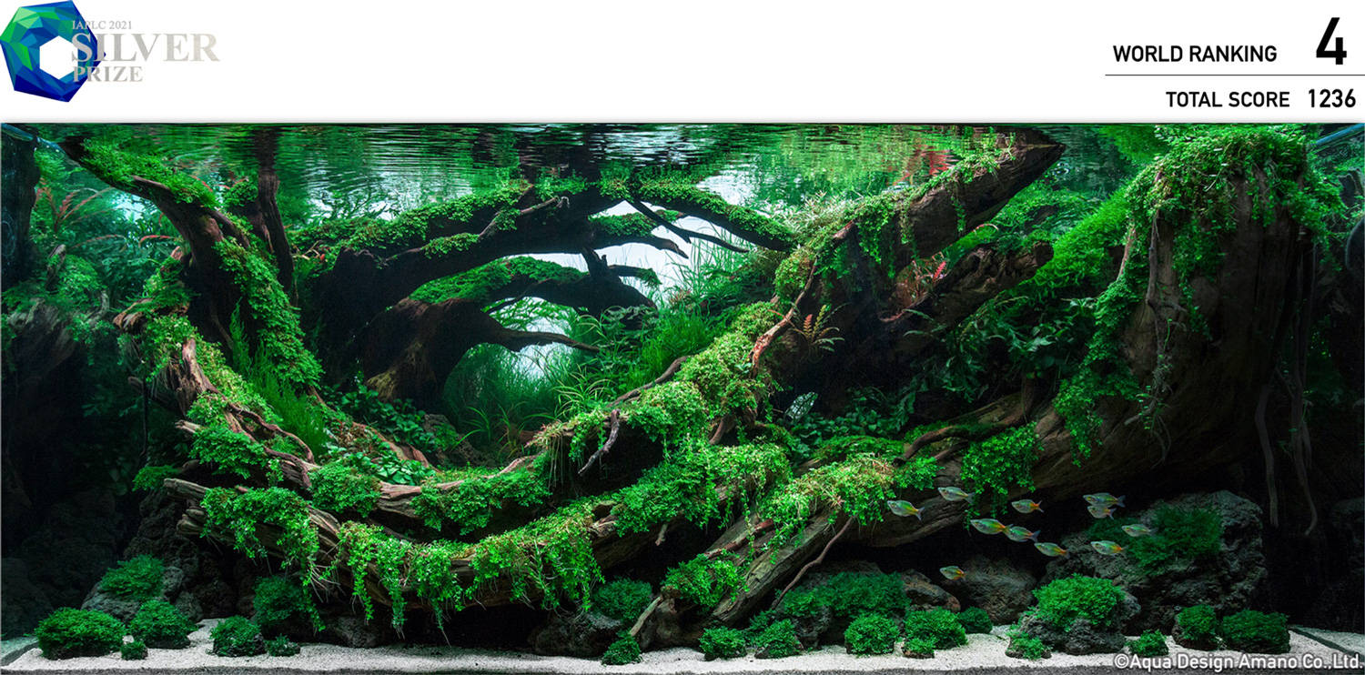 Detail Aquascape Hd Nomer 31