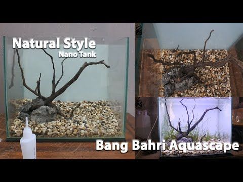 Detail Aquascape Mini Batu Nomer 21