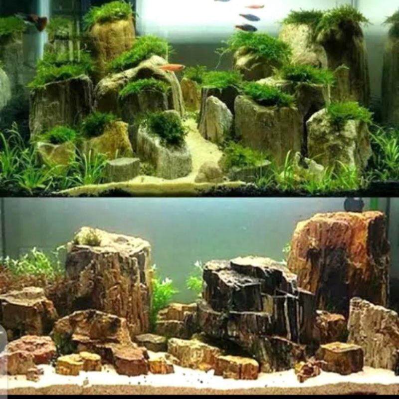 Detail Aquascape Mini Batu Nomer 22