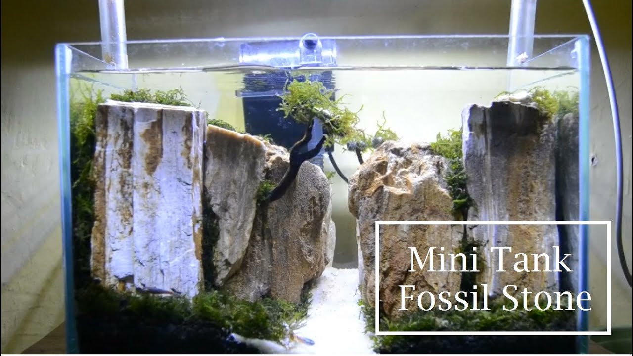 Detail Aquascape Mini Batu Nomer 25