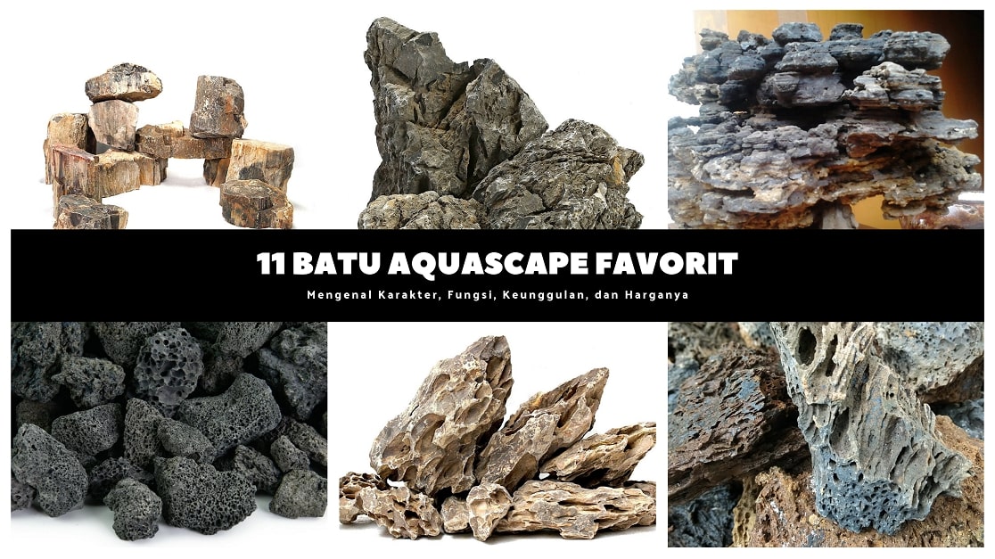 Detail Aquascape Mini Batu Nomer 31