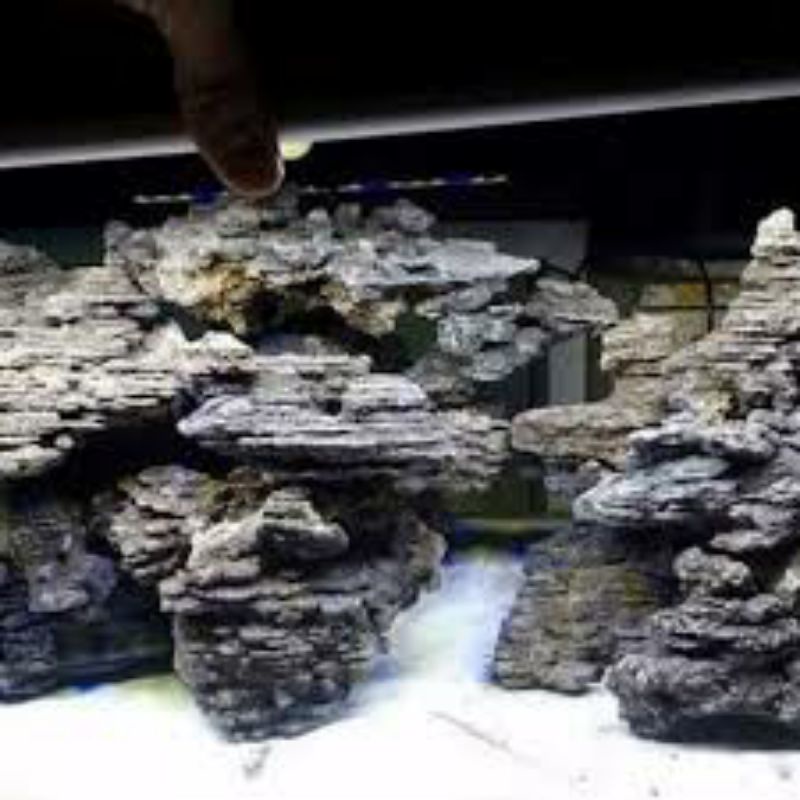 Detail Aquascape Mini Batu Nomer 33