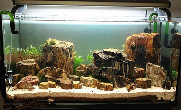 Detail Aquascape Mini Batu Nomer 34