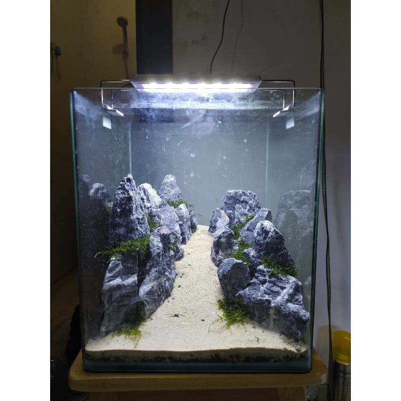 Detail Aquascape Mini Batu Nomer 36