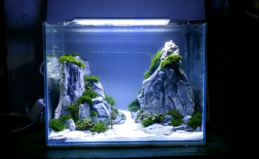 Detail Aquascape Mini Batu Nomer 37