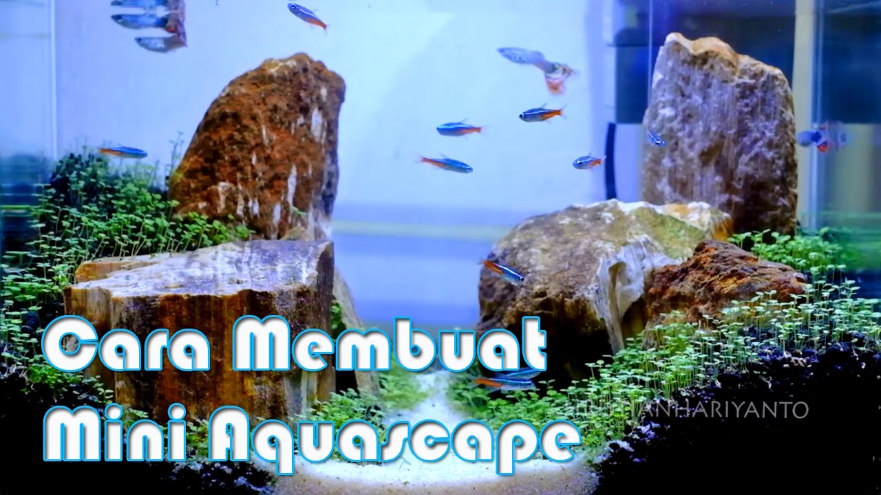 Detail Aquascape Mini Batu Nomer 54