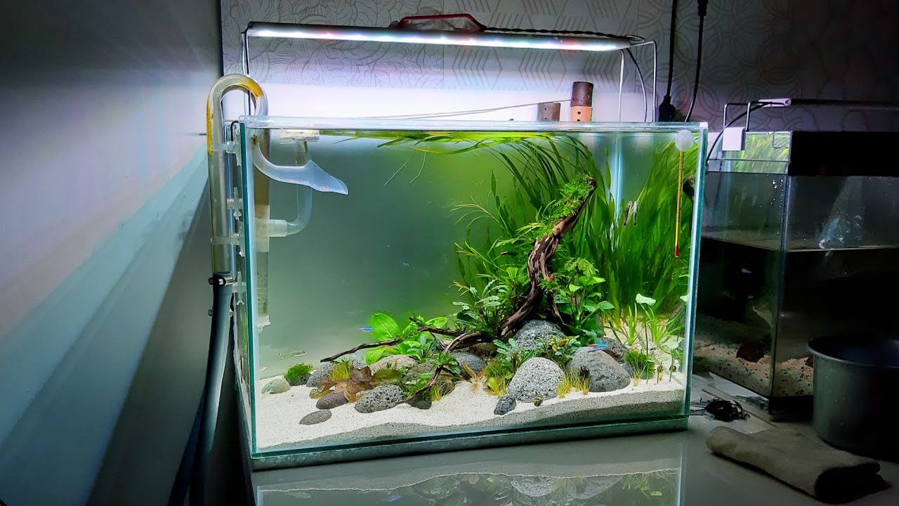 Detail Aquascape Mini Batu Nomer 57