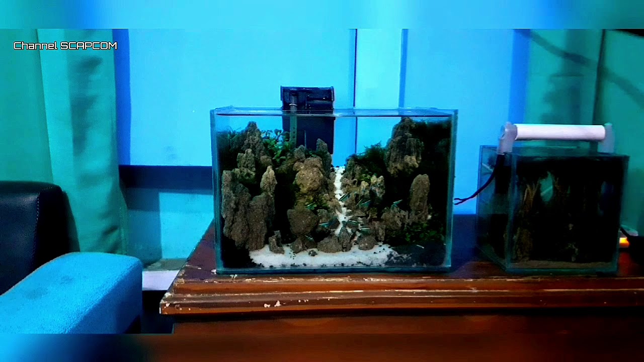 Detail Aquascape Mini Batu Nomer 58