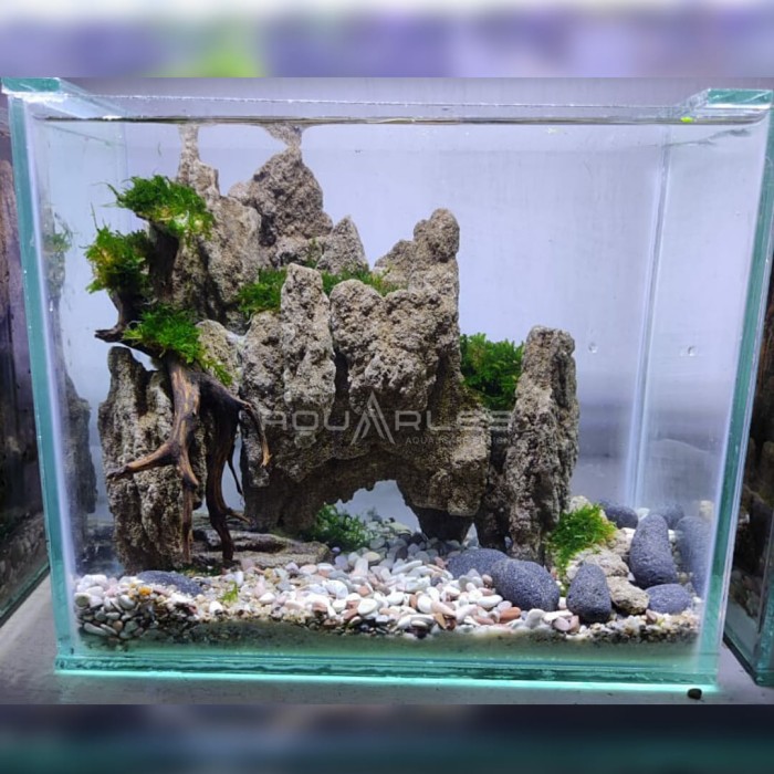 Detail Aquascape Mini Batu Nomer 10