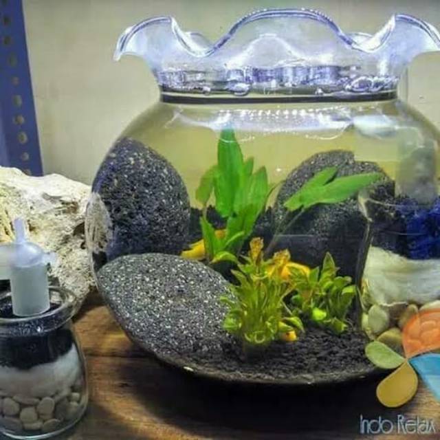 Detail Aquascape Mini Bulat Nomer 3