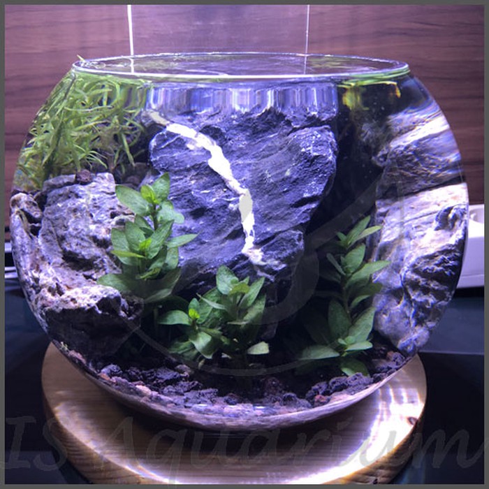 Detail Aquascape Mini Bulat Nomer 25