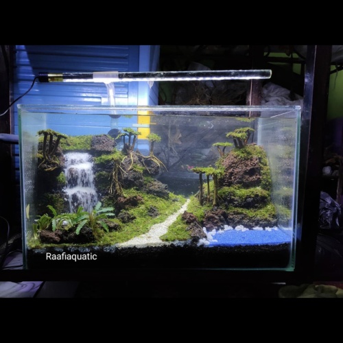 Detail Aquascape Minimalis Nomer 10