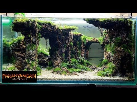 Detail Aquascape Natural Batu Nomer 5