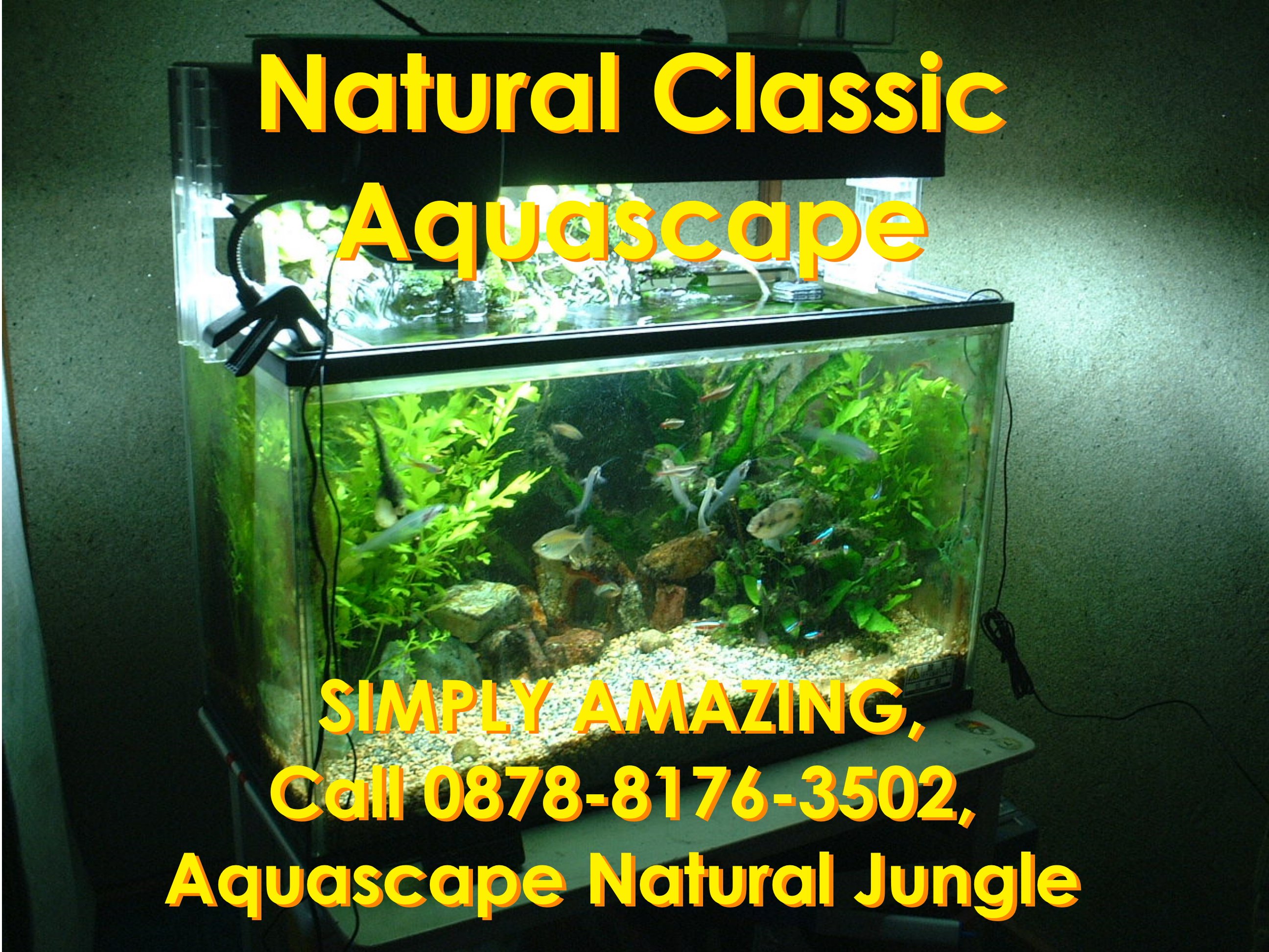 Detail Aquascape Natural Batu Nomer 39