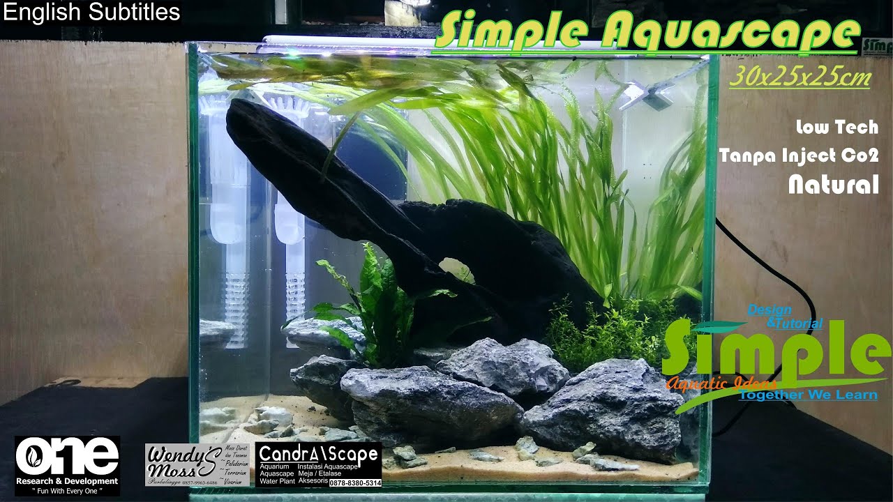 Detail Aquascape Natural Batu Nomer 8