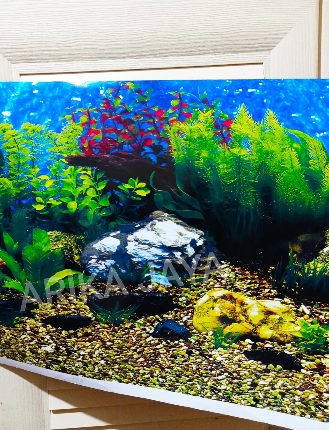 Detail Aquascape Panjang 2 Meter Nomer 55