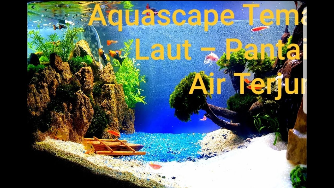 Detail Aquascape Pantai Nomer 2