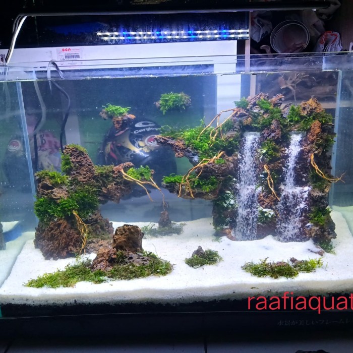 Detail Aquascape Pantai Nomer 27