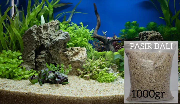 Detail Aquascape Pasir Nomer 6