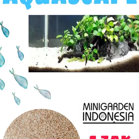 Detail Aquascape Pasir Bali Nomer 34