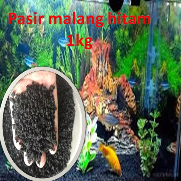 Detail Aquascape Pasir Hitam Nomer 19