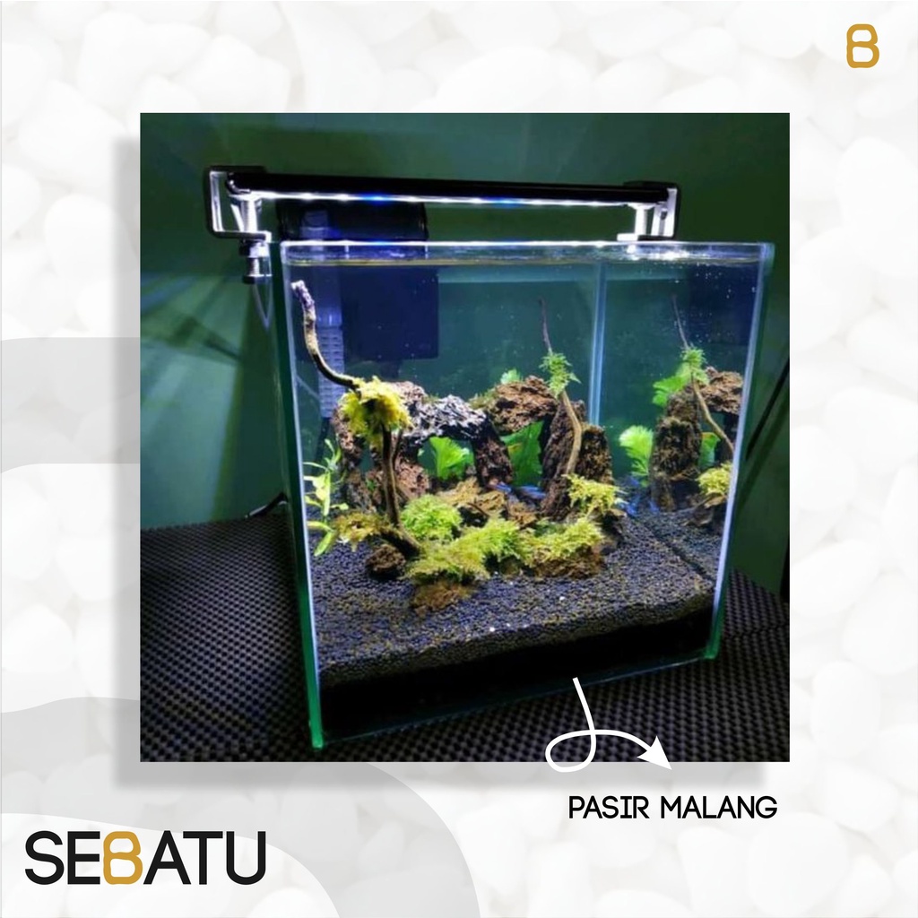 Detail Aquascape Pasir Hitam Nomer 43