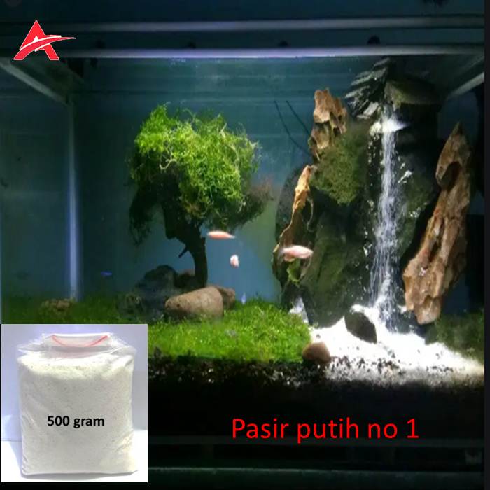 Detail Aquascape Pasir Putih Nomer 15