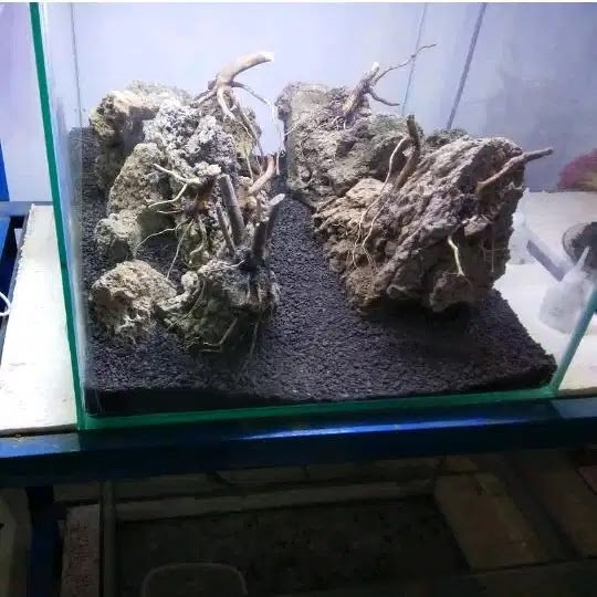 Detail Aquascape Pasir Putih Nomer 19