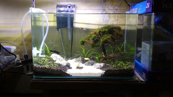 Detail Aquascape Pasir Putih Nomer 36