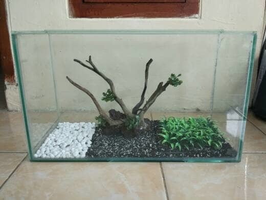 Detail Aquascape Pasir Putih Nomer 53