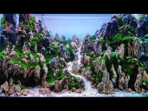 Aquascape Pegunungan - KibrisPDR