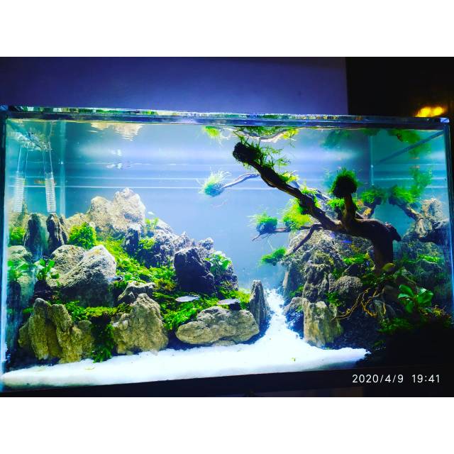 Detail Aquascape Pegunungan Nomer 17