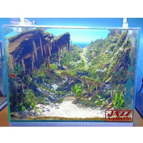 Detail Aquascape Pegunungan Nomer 50