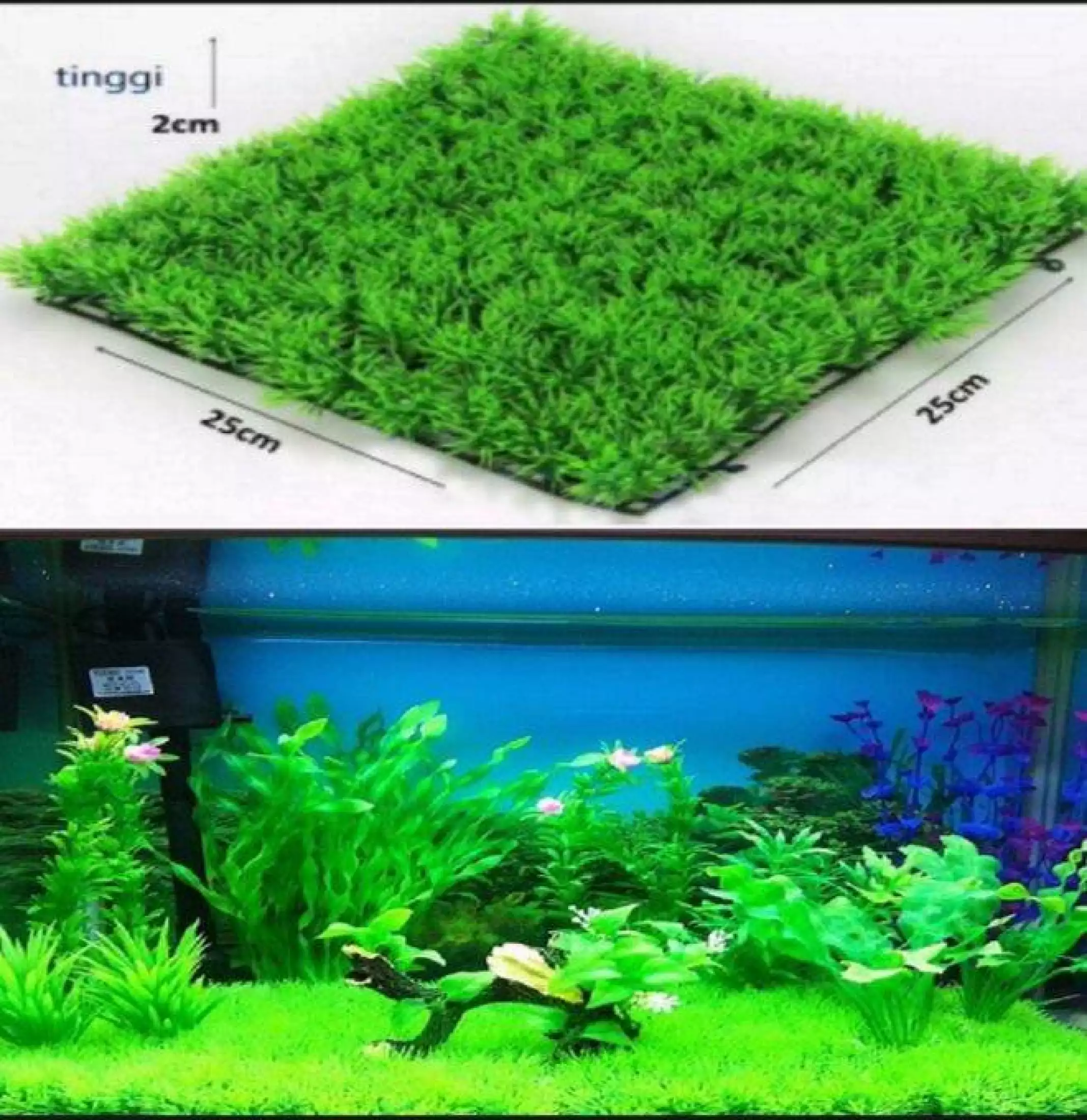 Detail Aquascape Rumput Nomer 45