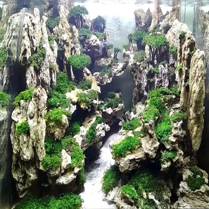 Detail Aquascape Tebing Nomer 50