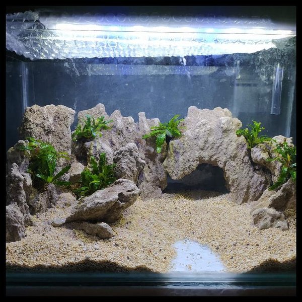 Detail Aquascape Tebing Batu Nomer 14