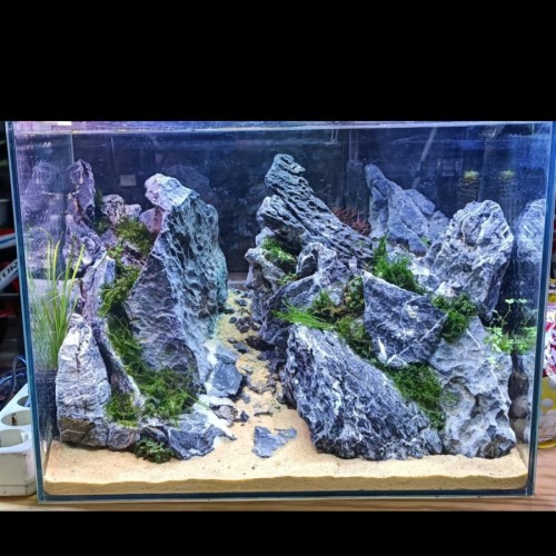 Detail Aquascape Tebing Batu Nomer 28