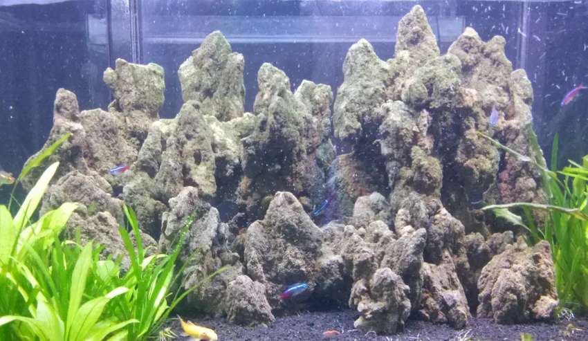 Detail Aquascape Tebing Batu Nomer 30