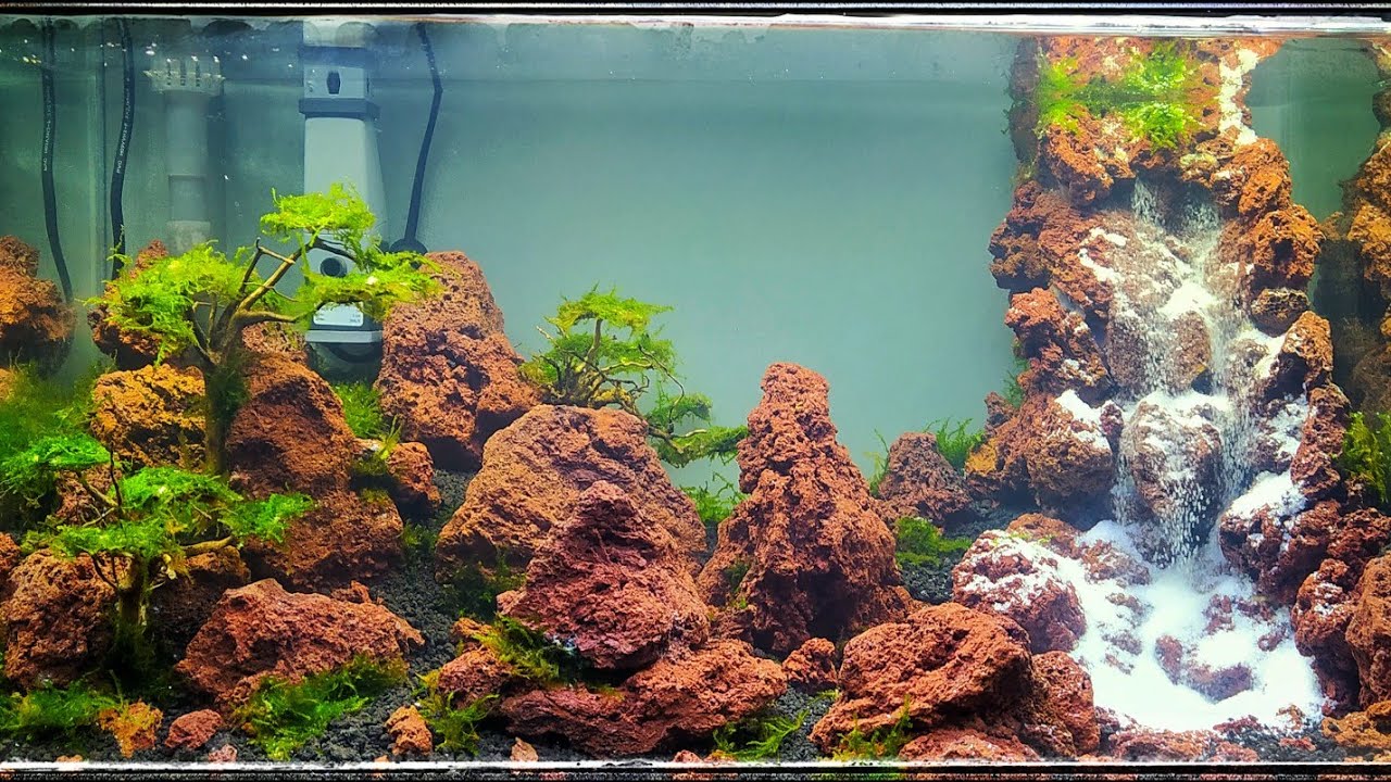 Detail Aquascape Tebing Batu Nomer 37